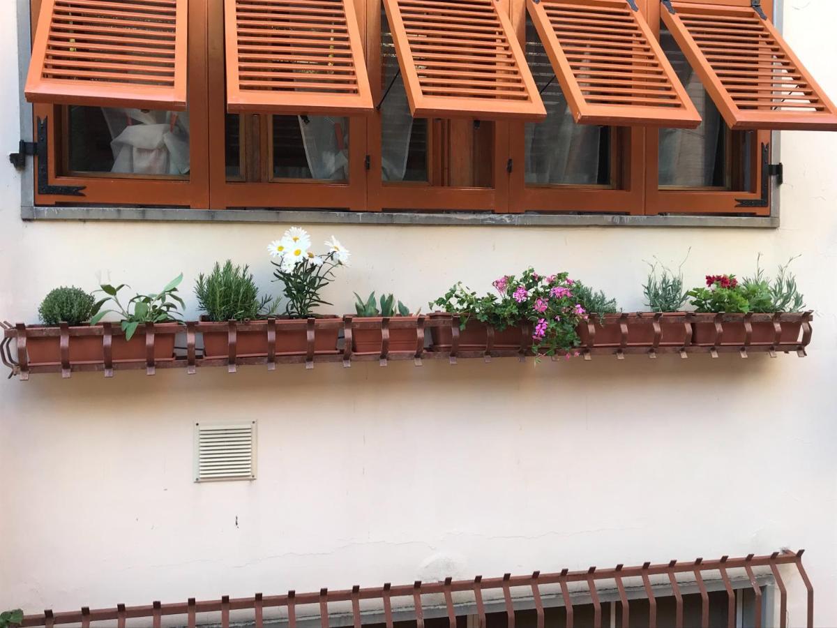 La Casa Fra Gli Ulivi Apartment Lerici Exterior photo